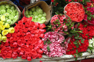 WHAT IS THE BEST METHOD OF FRESH FLOWER PRESERVATION?