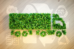 GREEN LOGISTICS TREND - SUSTAINABLE DEVELOPMENT STRATEGY OF BUSINESSES